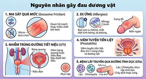 Đau dương vật sau khi quan hệ có nguy hiểm không và nguyên nhân gây ra